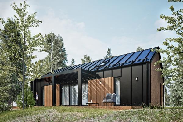 Одноэтажный дом в стиле Барнхаус